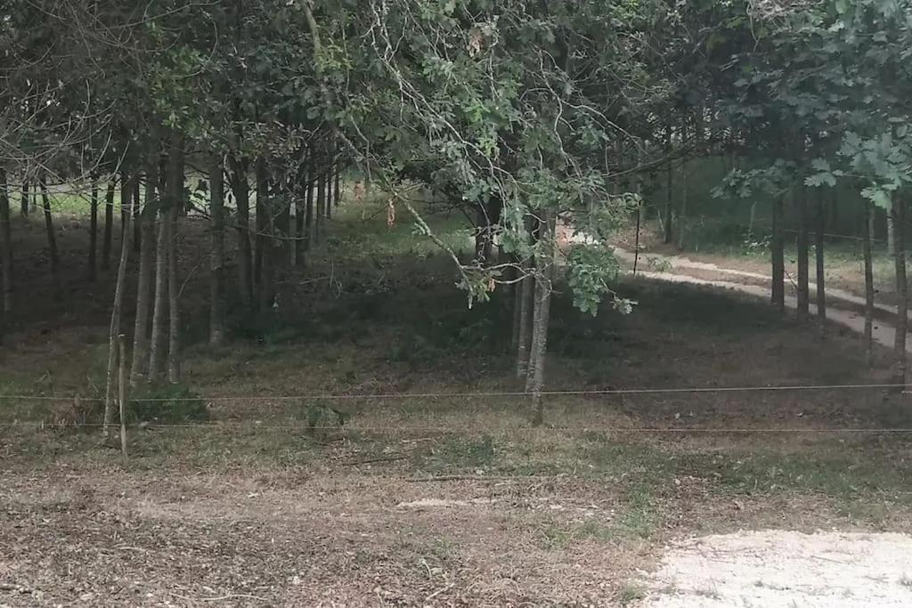 Вилла Casa Do Carvalhal - Quinta Do Soldado Alquerubim Экстерьер фото
